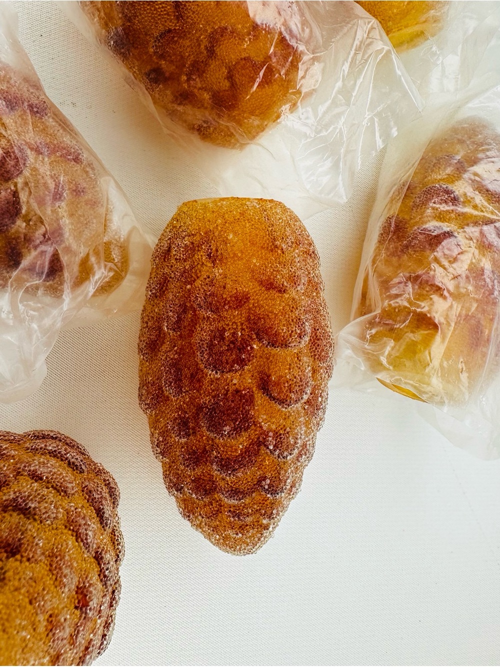 Set of 6 Vintage Pine Cone Christmas Light Covers Textured Plastic Amber Gold